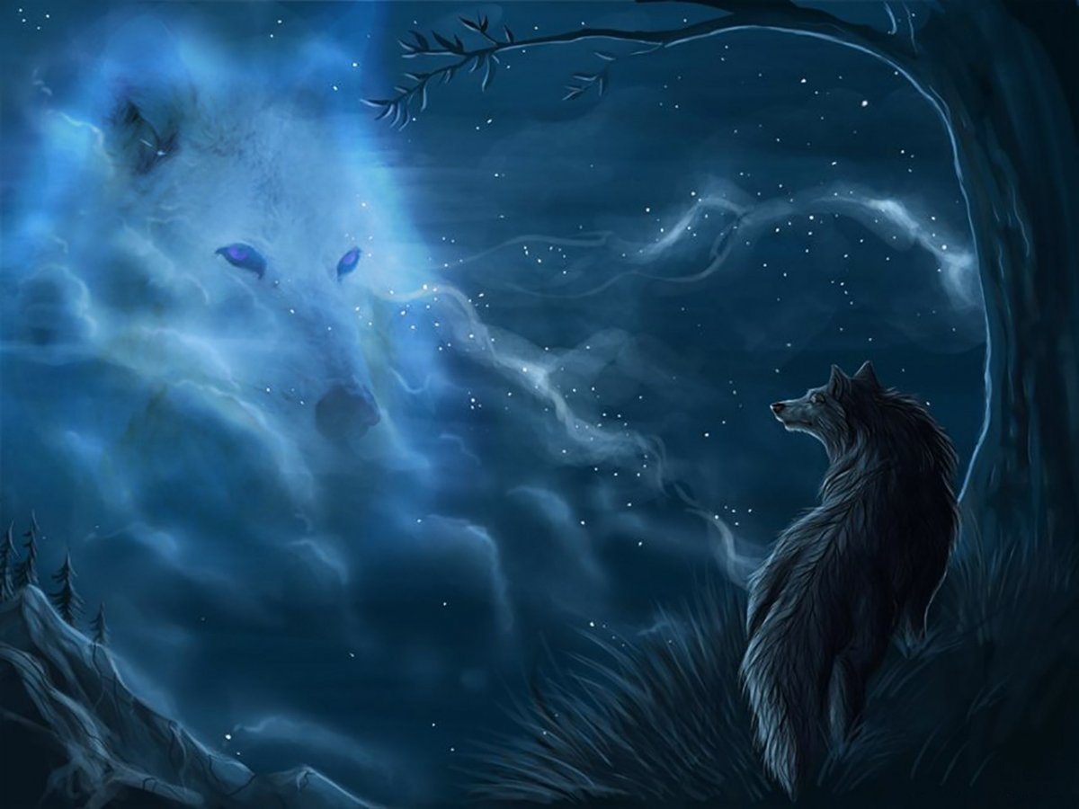Волк в ночи