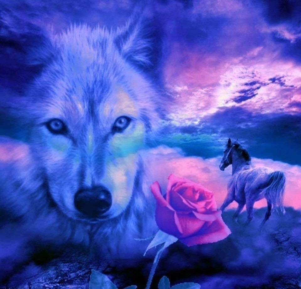 Волки красивые разноцветные