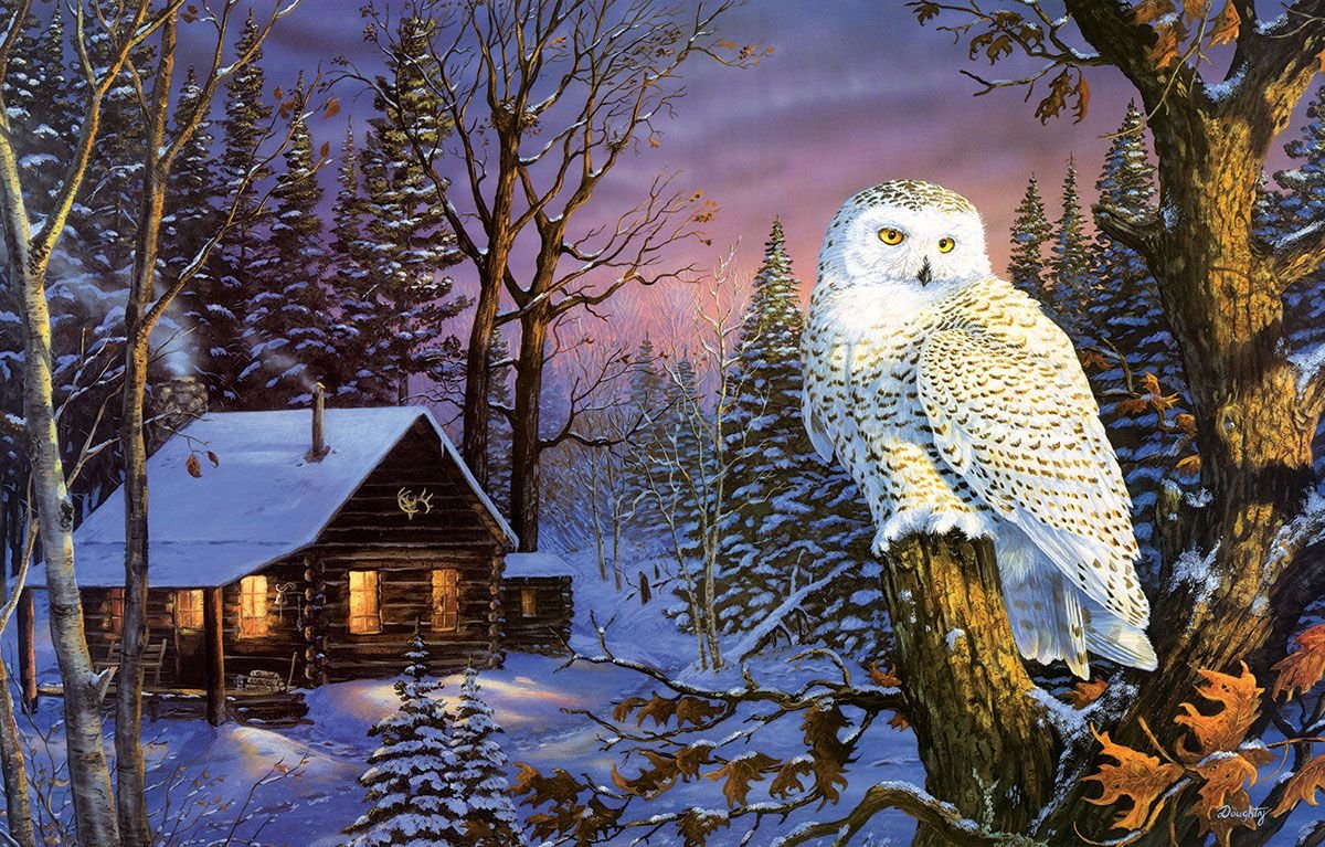 Алмазная мозаика Полярная Сова