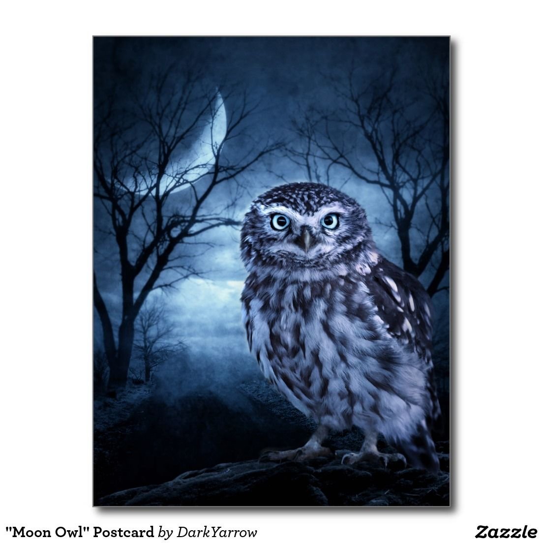 Сова и Луна