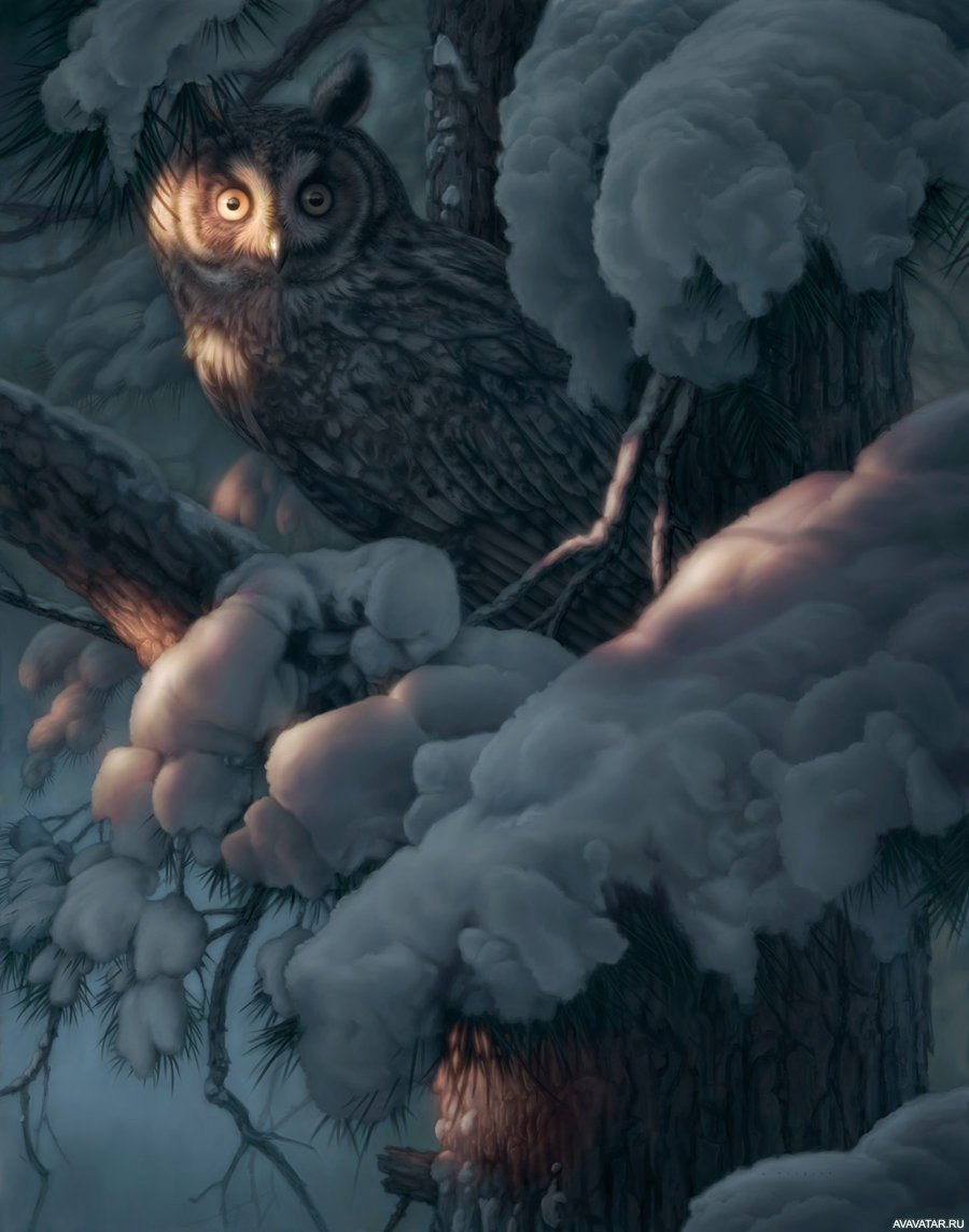 Фантастические Совы