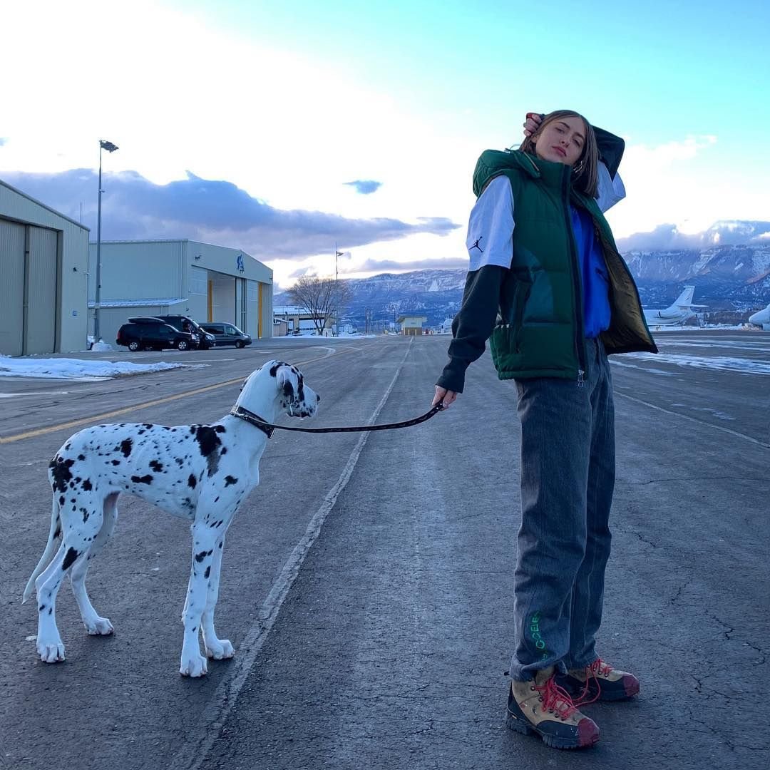 Немецкий дог далматинец