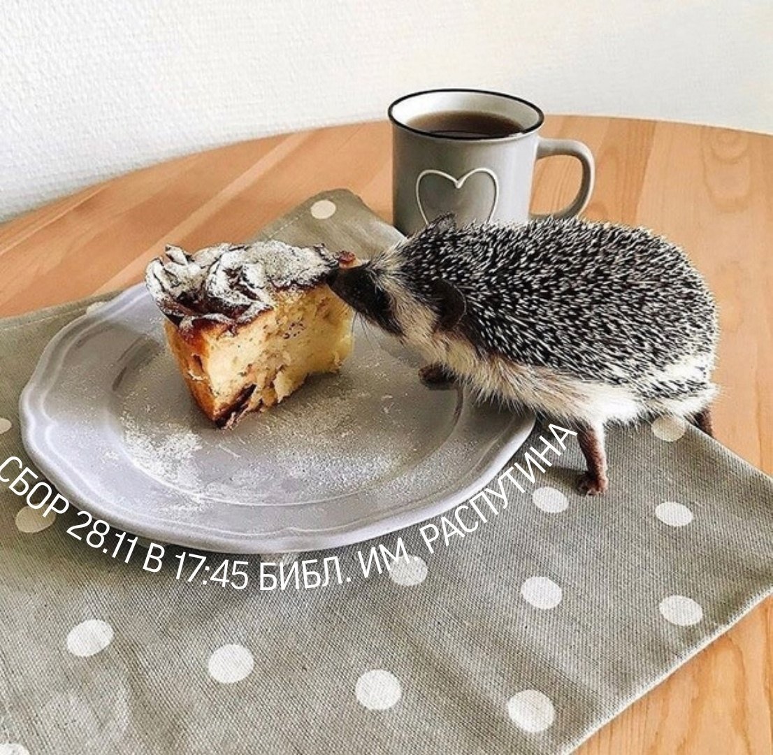 С добрым утром Ежик