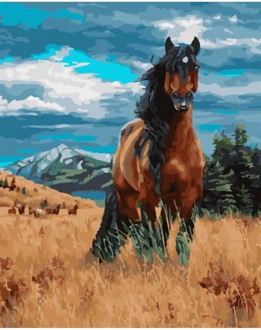 Вороной Мустанг иноходец