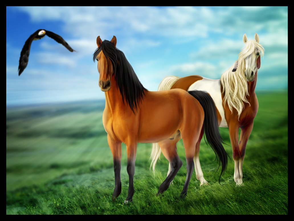 Спирит Симарронский жеребец