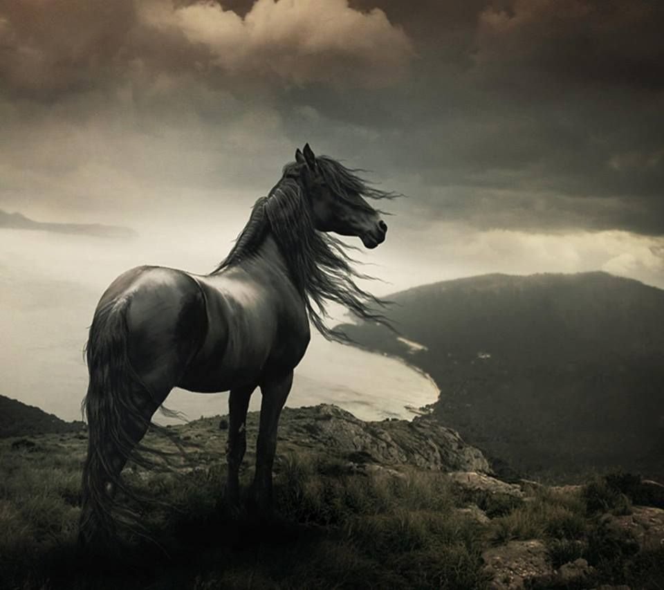 Лошадь поклоняется