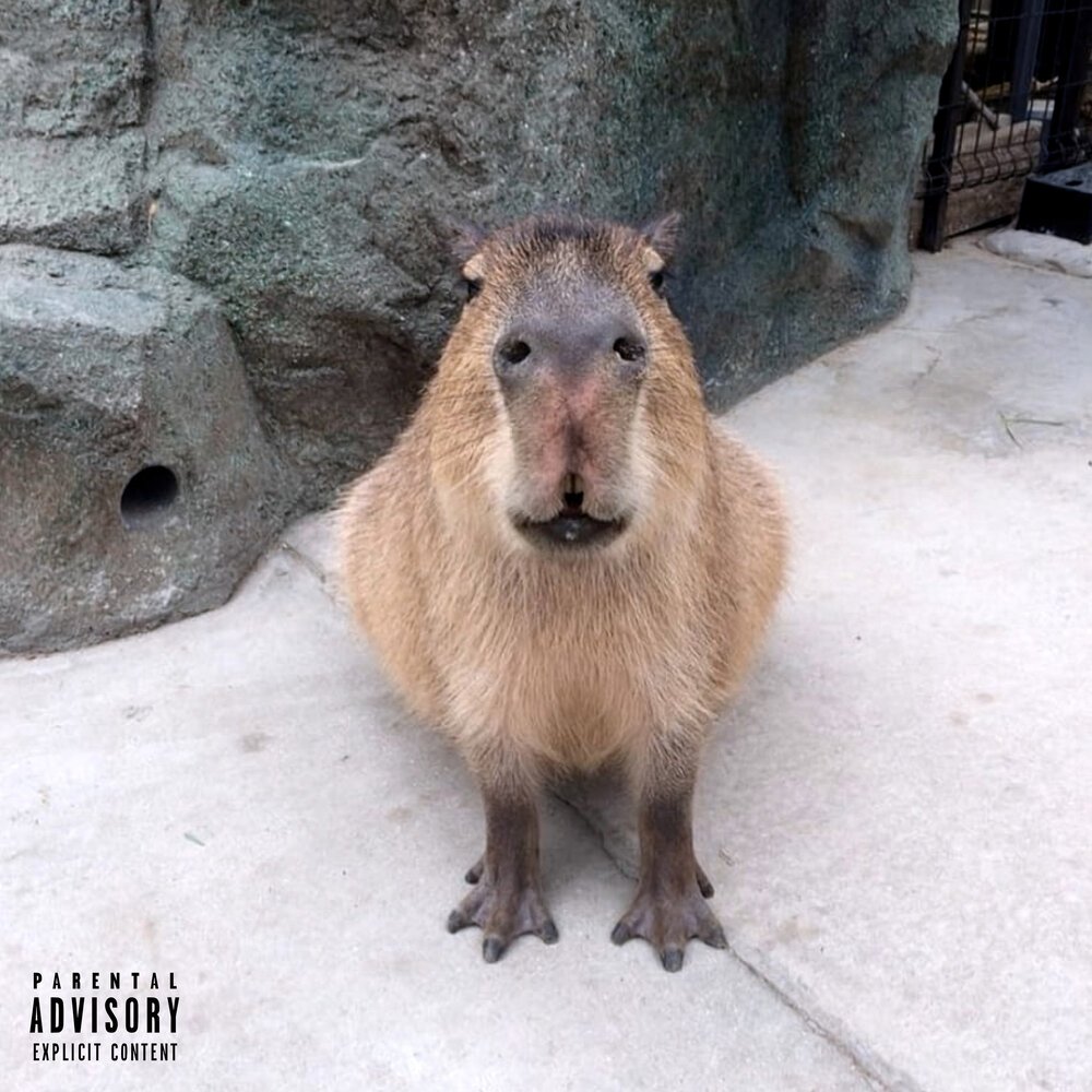 Капибара с деньгами