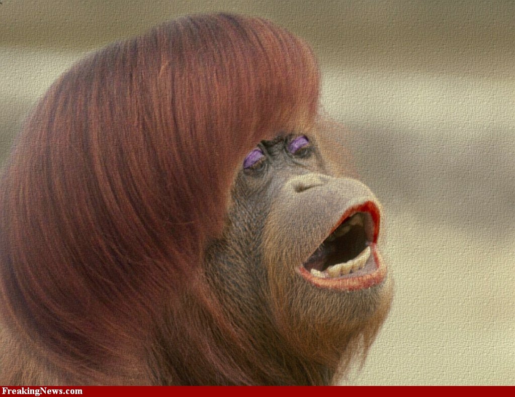 Обезьяна с длинными волосами