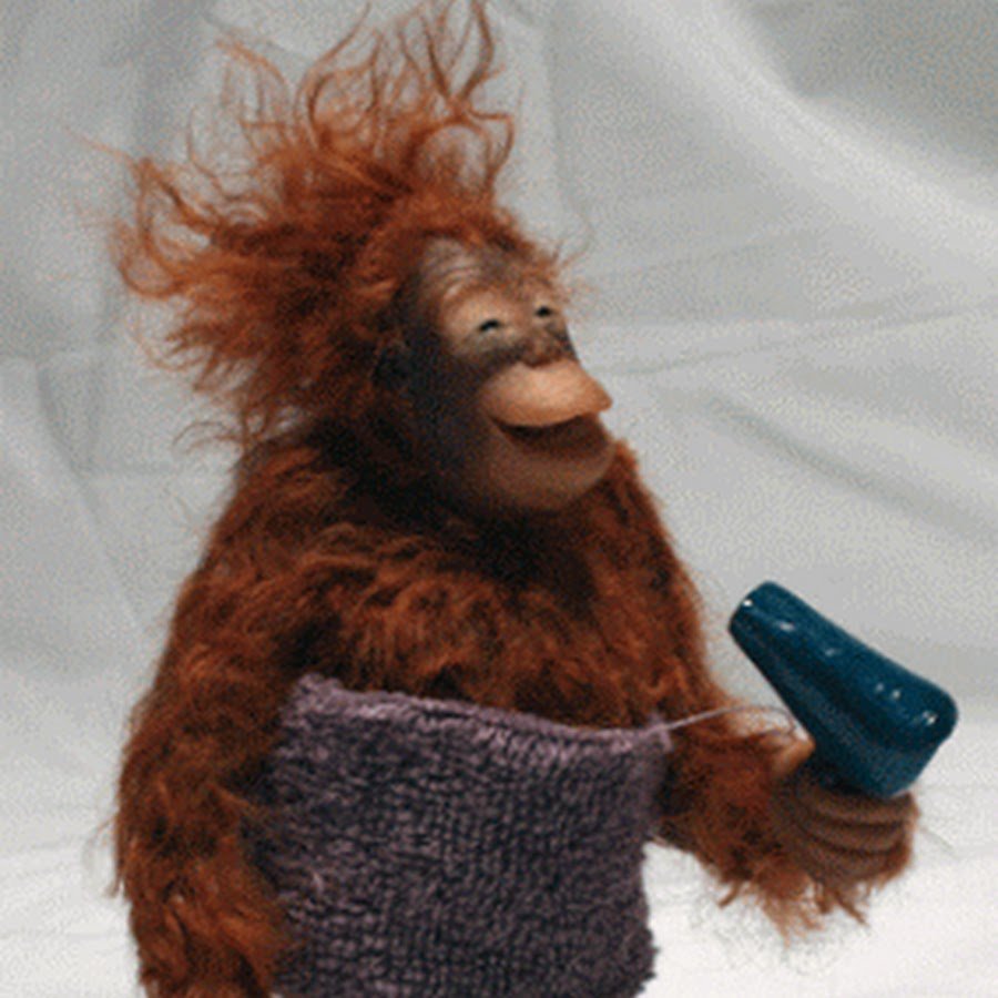 Обезьяна с кудрявыми волосами