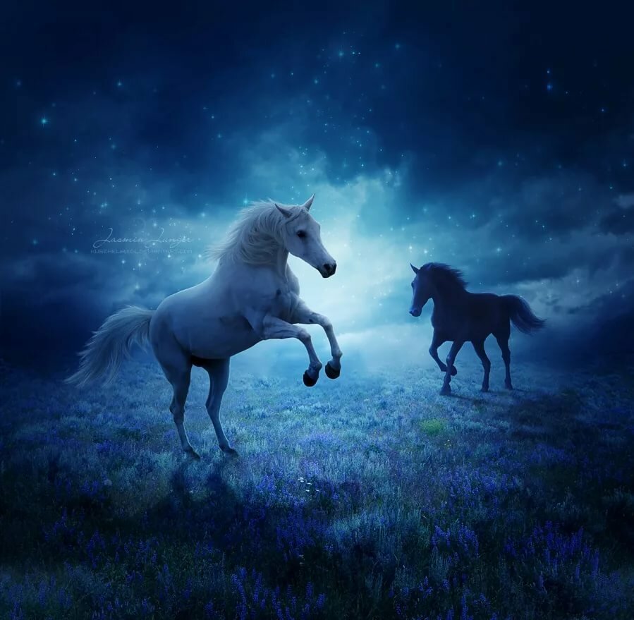Небесные лошади