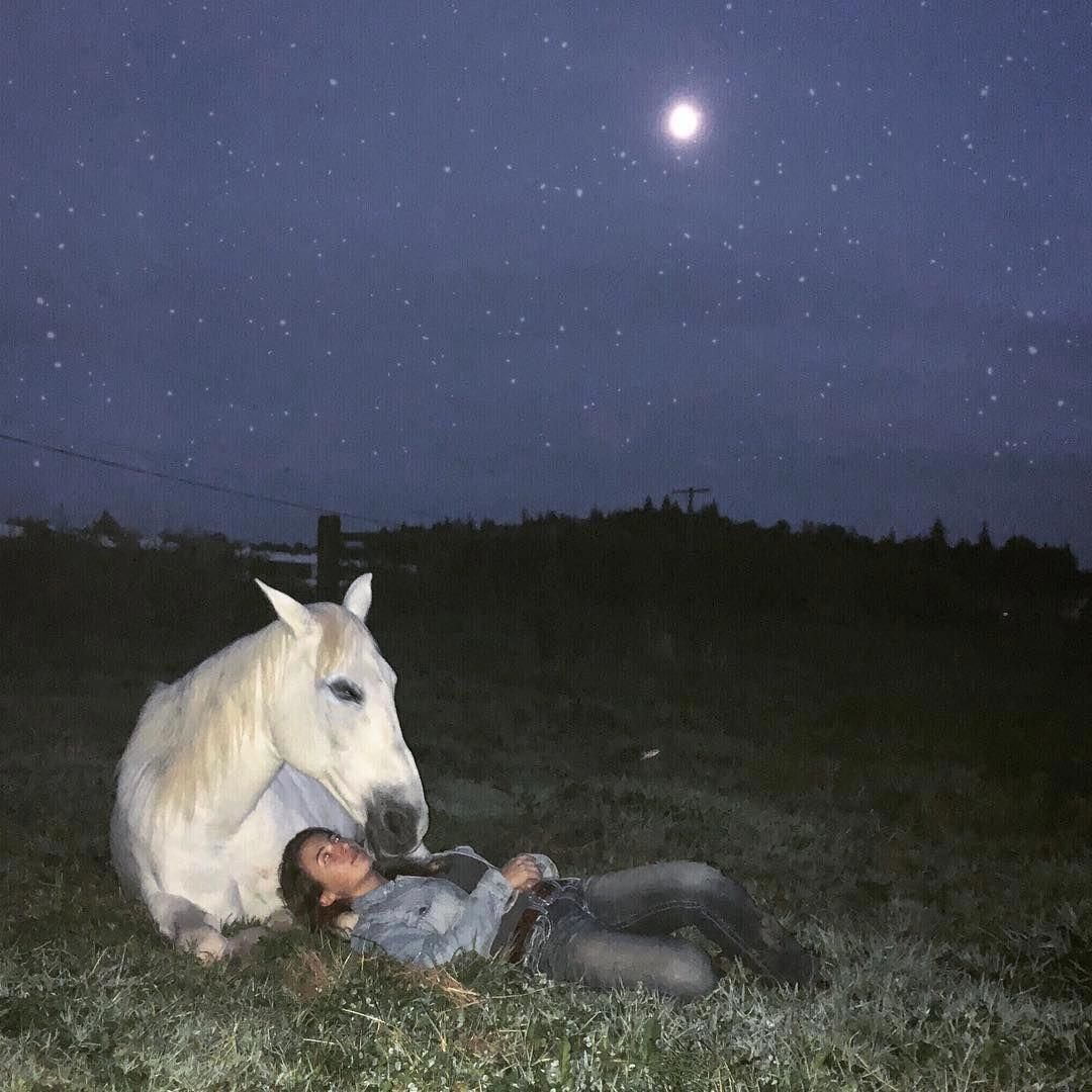 В ночном пасти лошадей