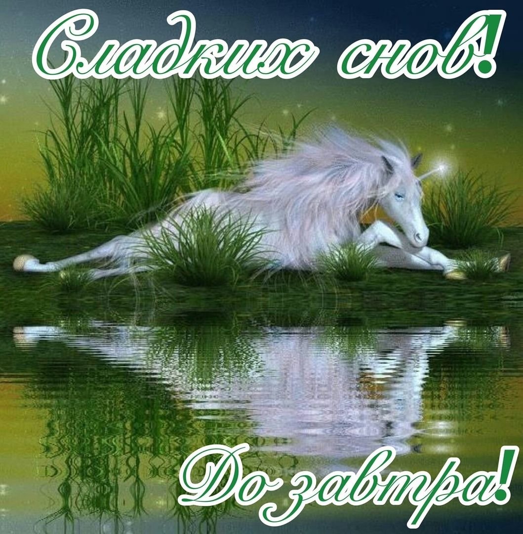 Спокойной ночи лошади