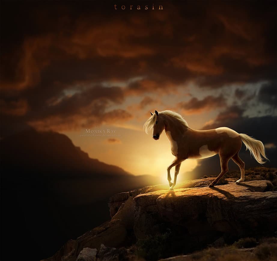 Лошадь на обрыве