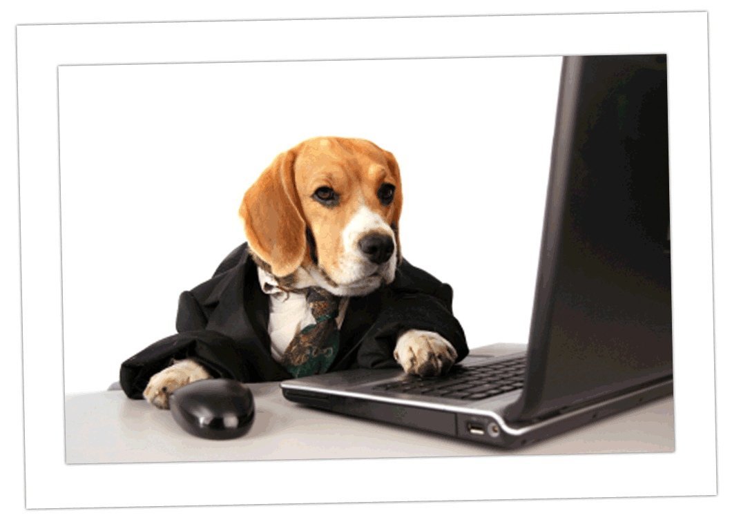 Собака за компьютером