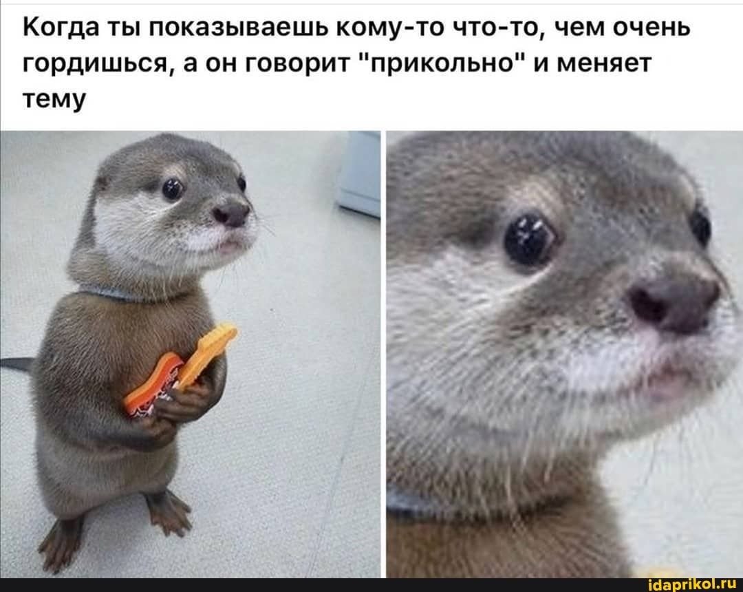 Выдра с гитарой