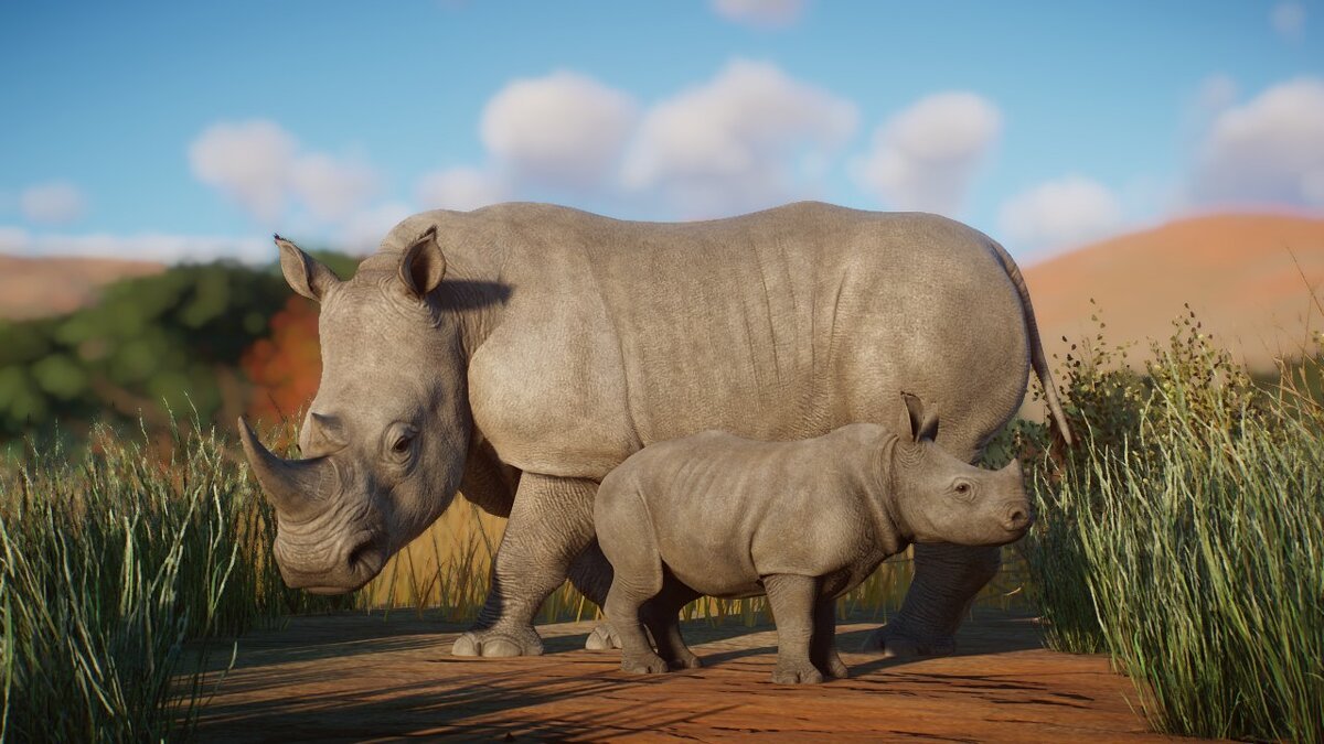 Белый носорог Кенни