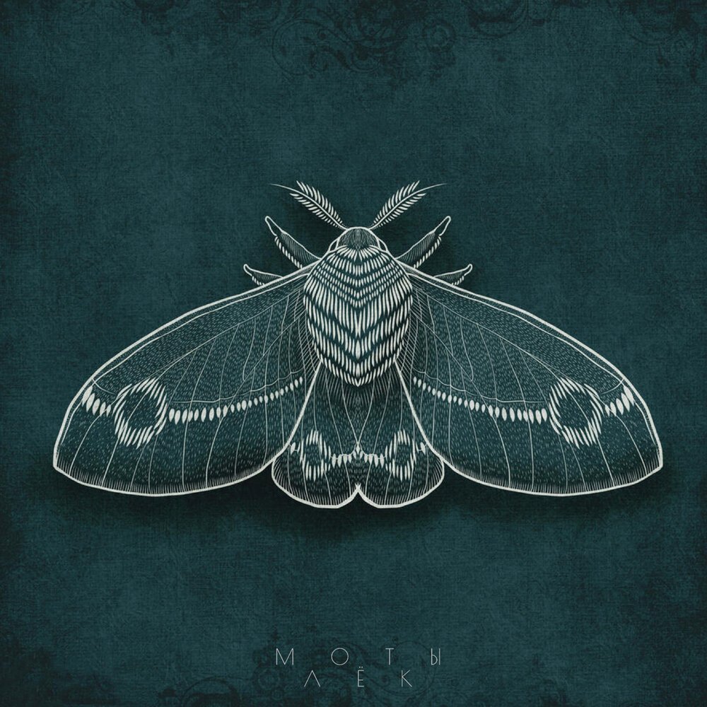 Мотылёк арты