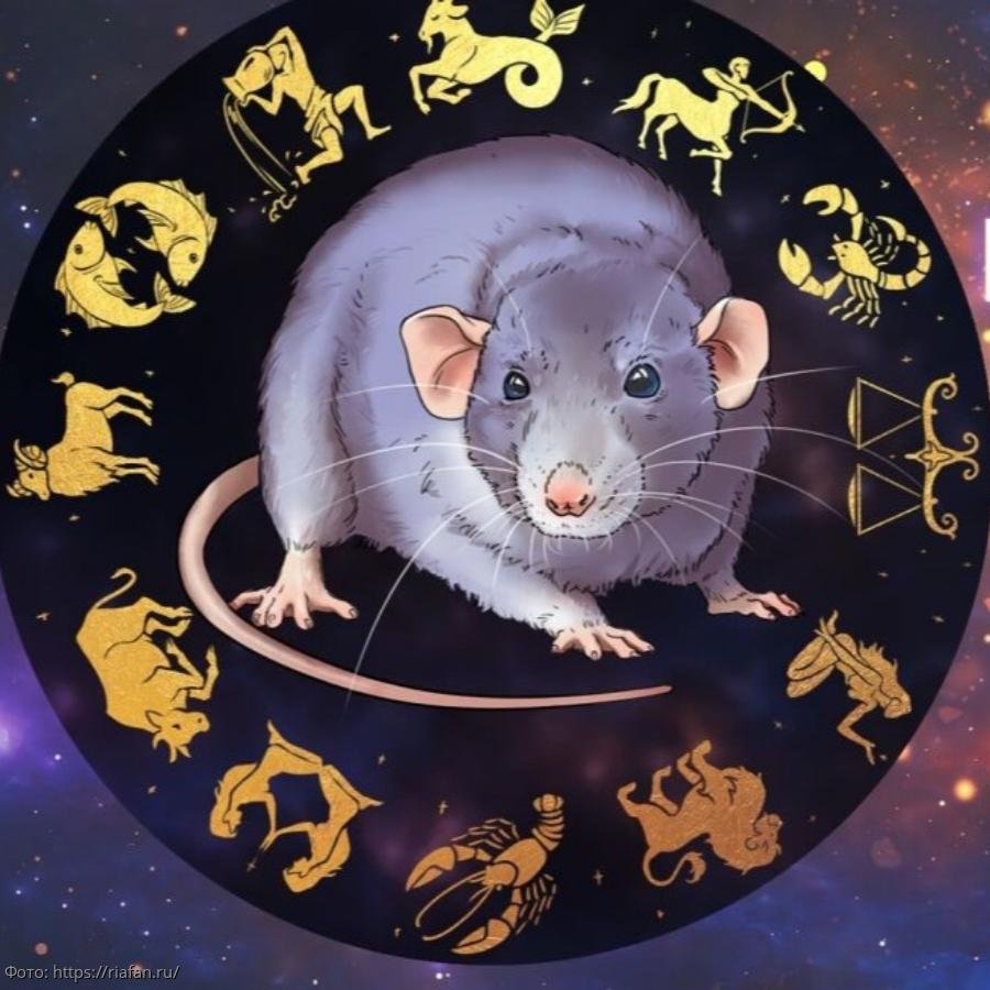 Год крысы знакам зодиака