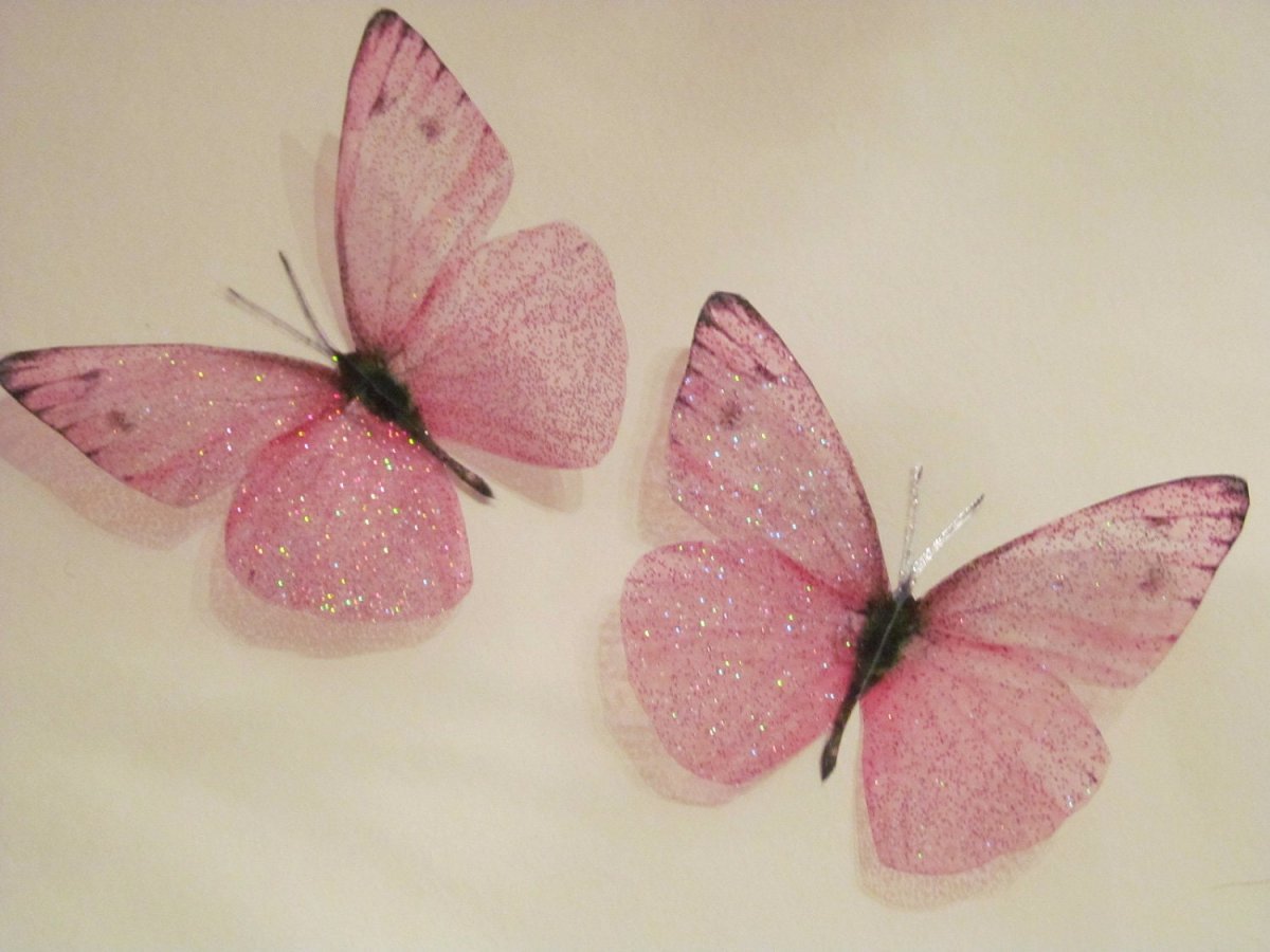 Бабочки Эстетика
