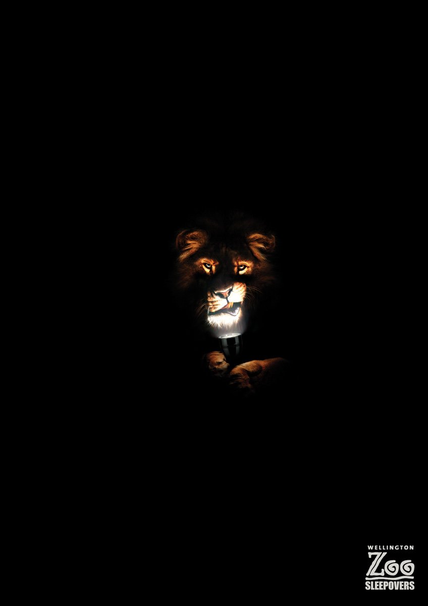 Львица в темноте