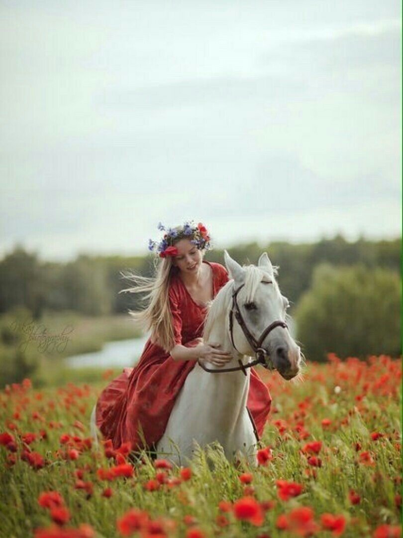 Девушка на коне в поле