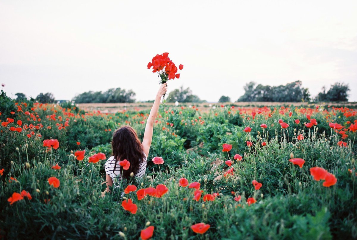 Брюнетка в поле цветов