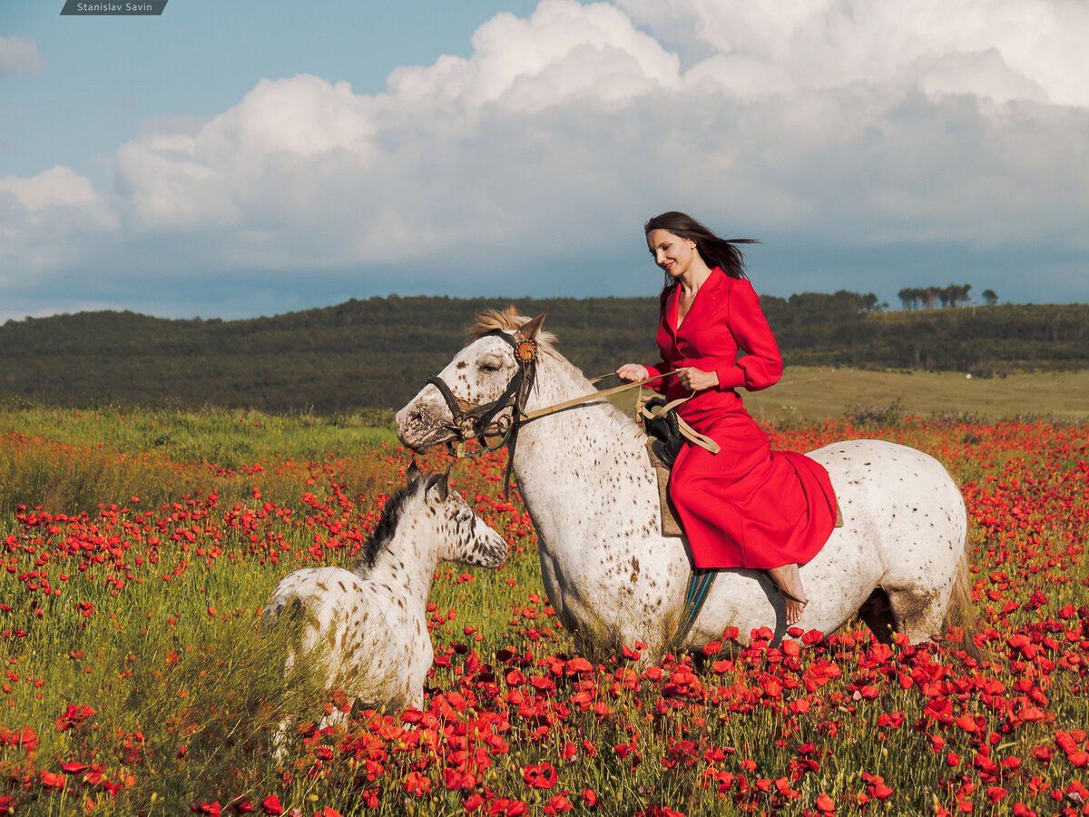 Маковые поля в Крыму