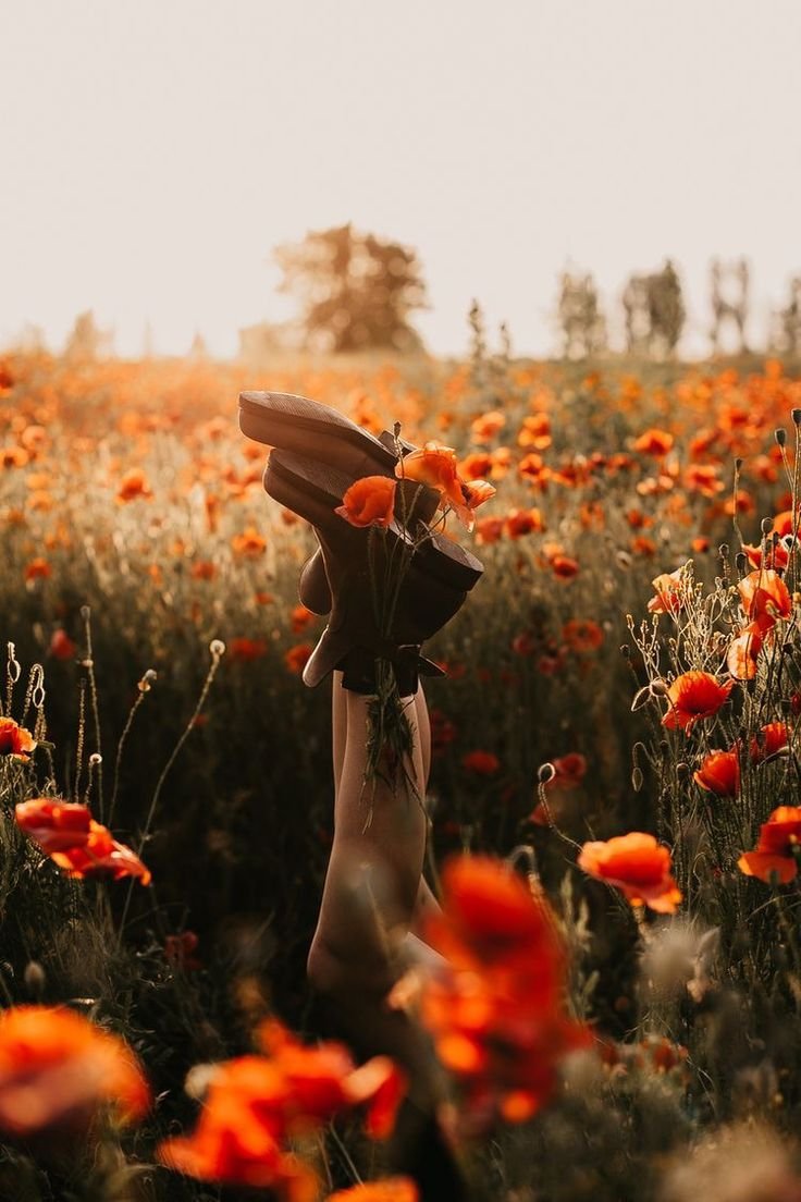 Фотосессия в маковом поле