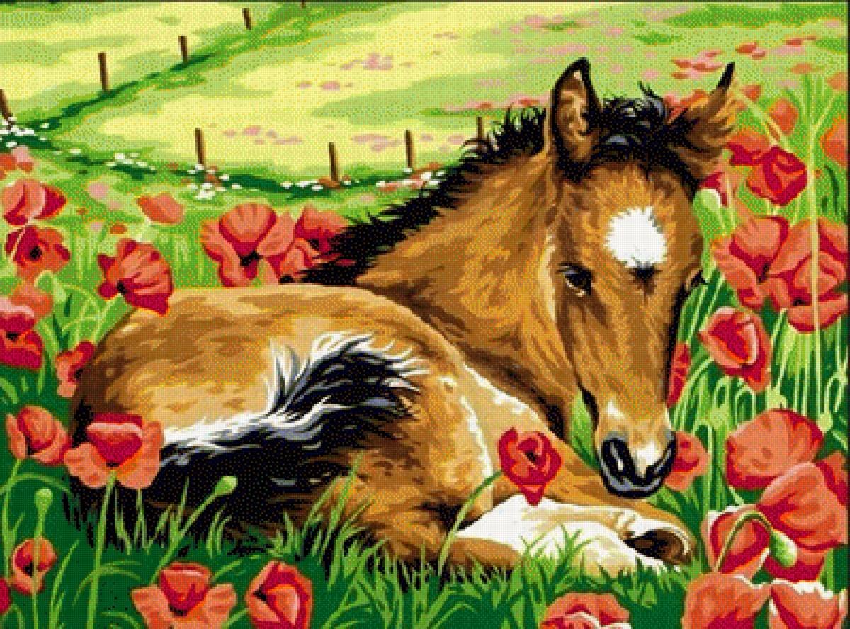 Лошадь с жеребенком на поле