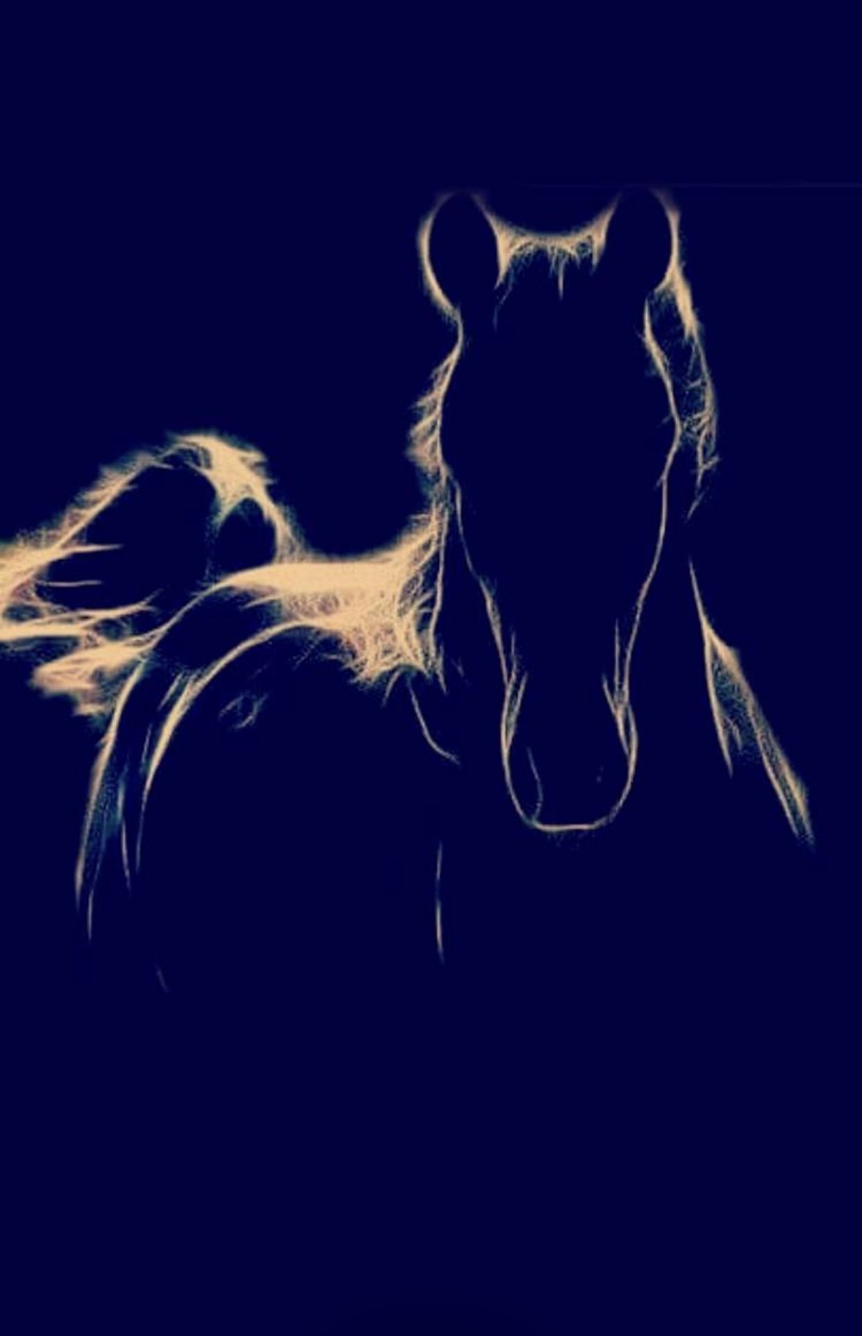 Лошадь в темноте. Лошадь на черном фоне. Черная лошадь на черном фоне. Темная лошадка.