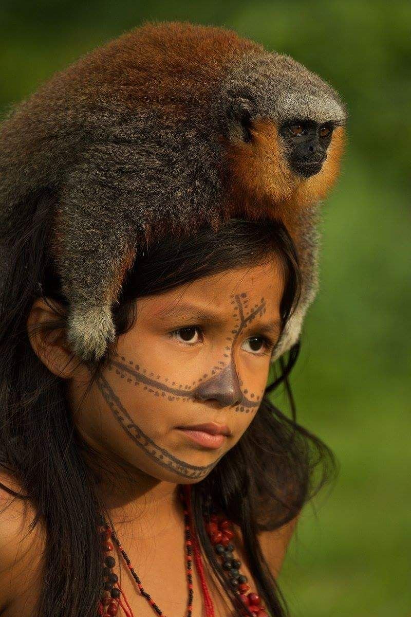 Обезьяна с макияжем