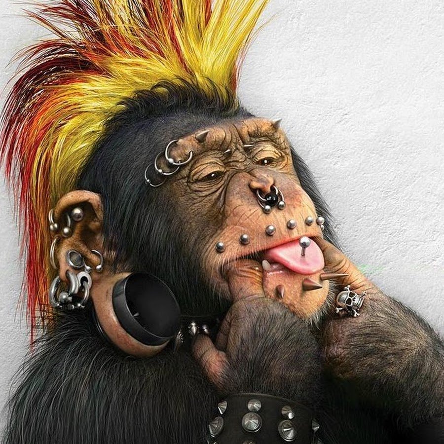 Собака с проколотым ухом из мультика