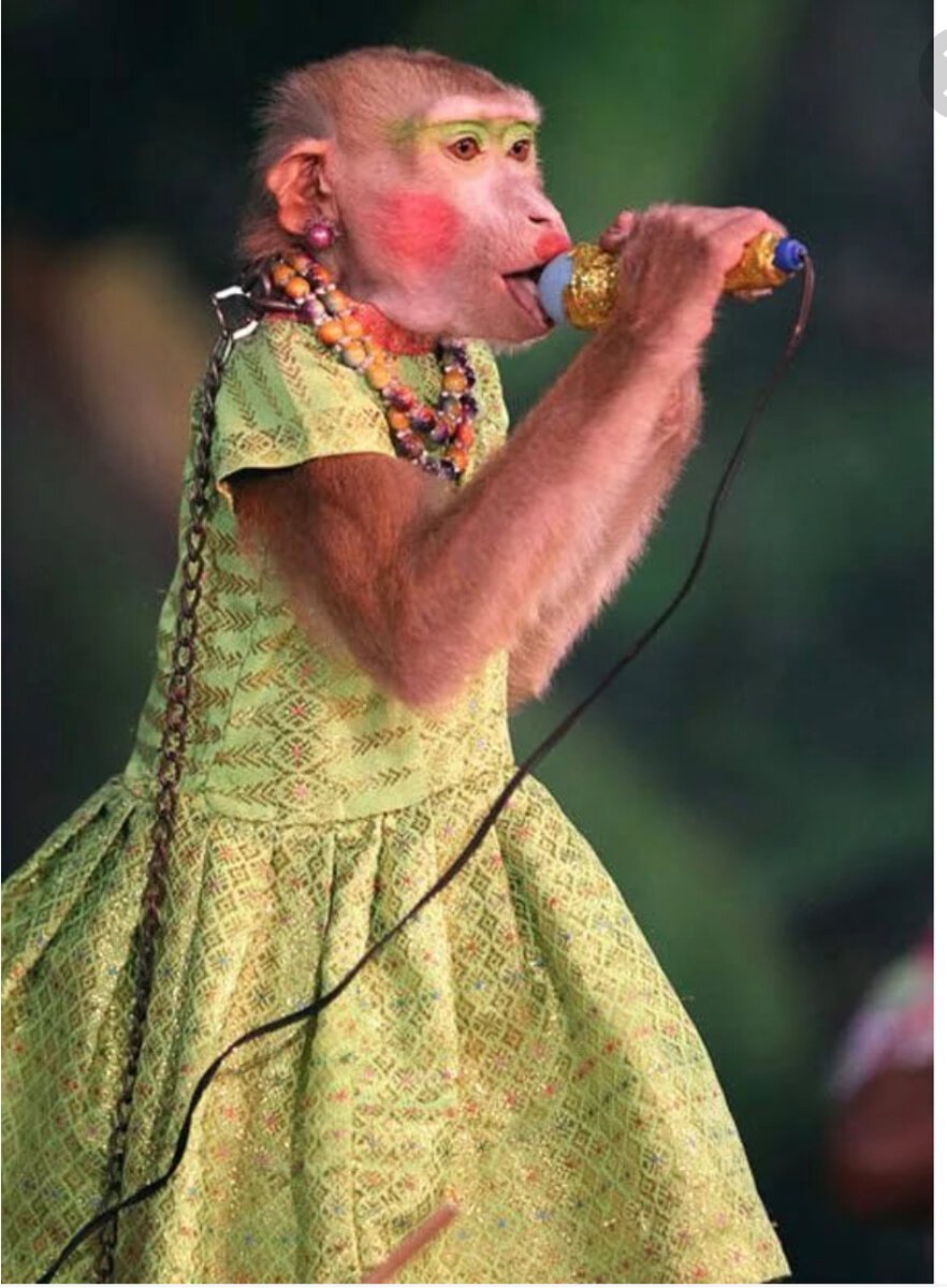 Мартышка с микрофоном