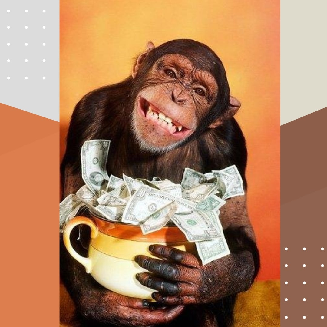 Обезьяна с деньгами