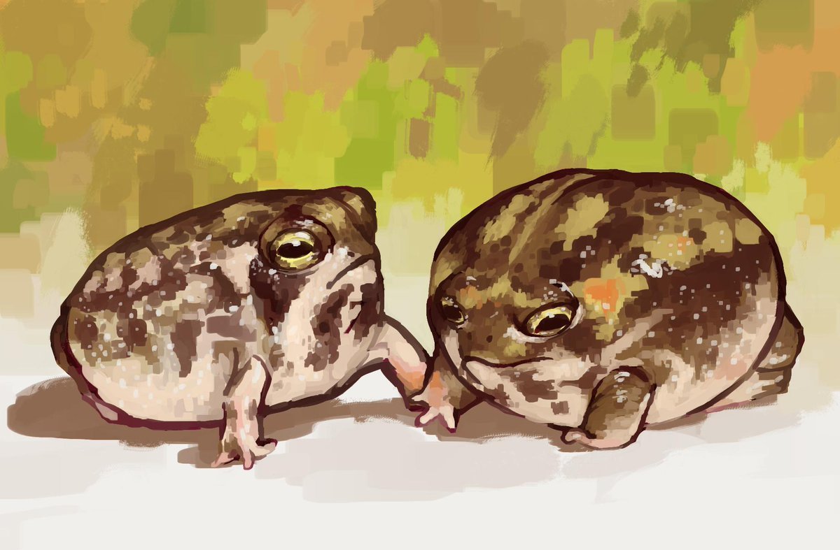 Лягушка песчаный узкорот