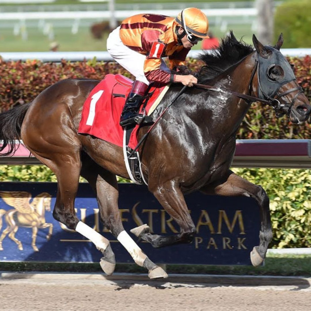 Фусаичи Пегасус лошадь