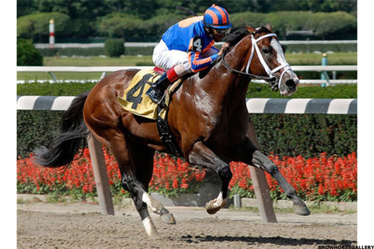 Грин манки лошадь