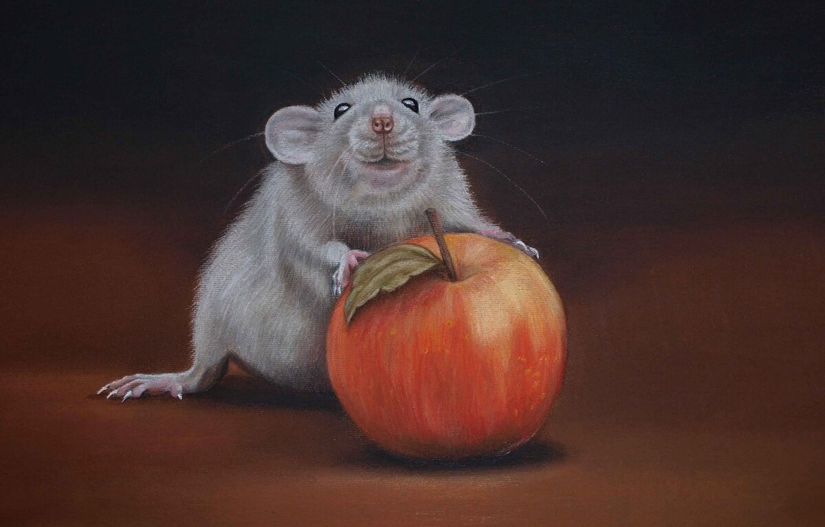 Крыса пастелью