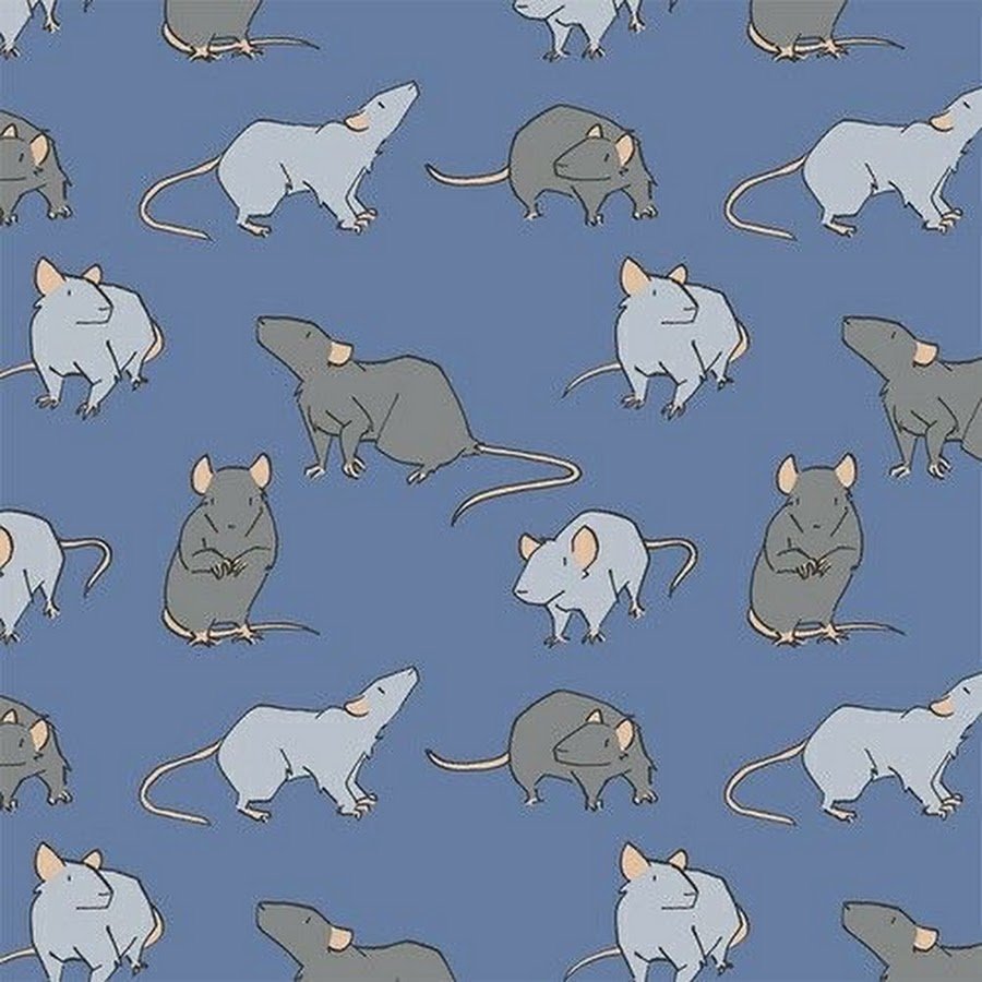 Обои с крысами нарисованные
