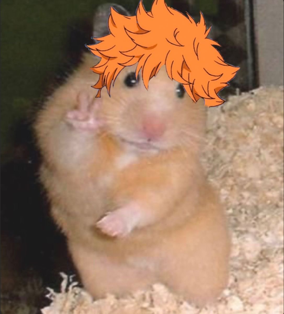 Хомяк с двумя пальцами