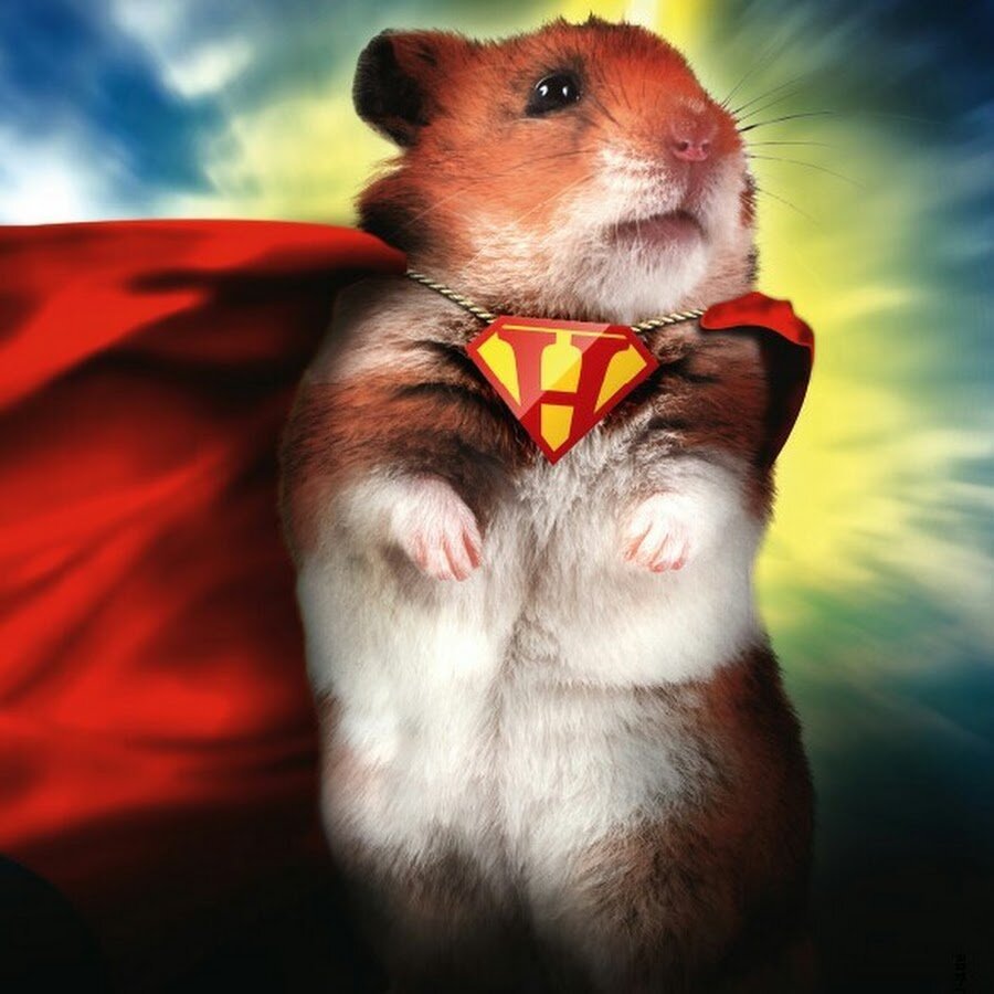 Крутой хомяк