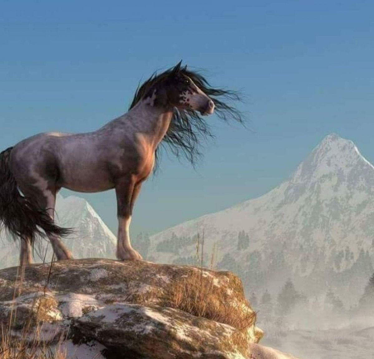 Мустанги Дикие лошади