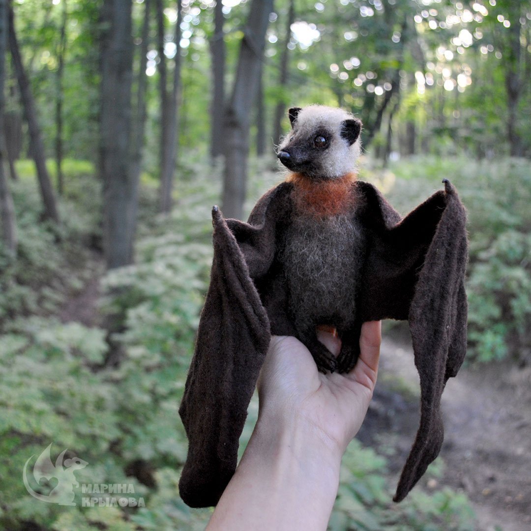 Летучая лисица кушает