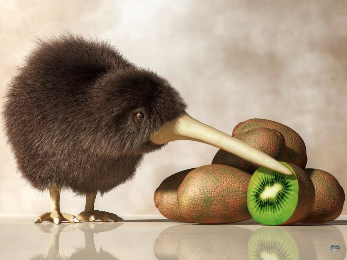 Птица киви и фрукт киви