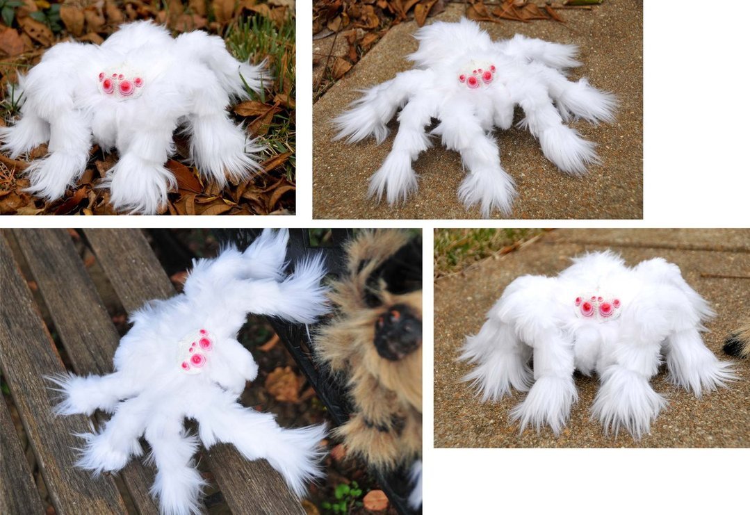 Паук альбинос Тарантул