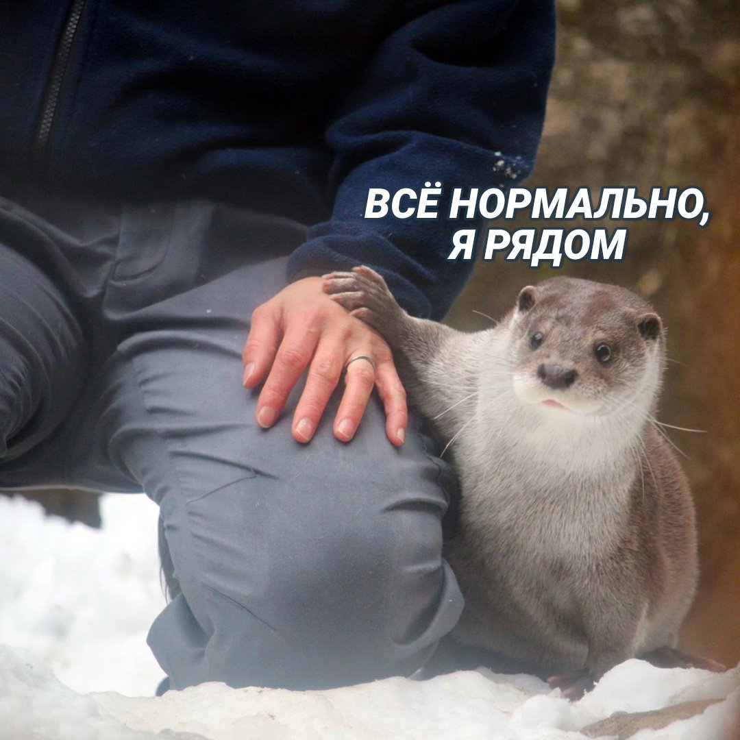 Все нормально