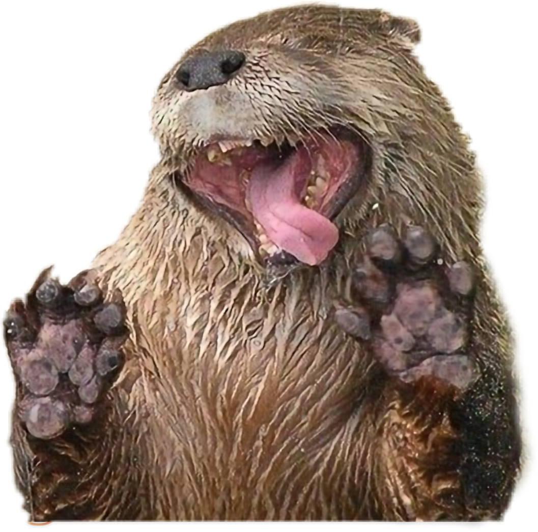 Орущий бобер