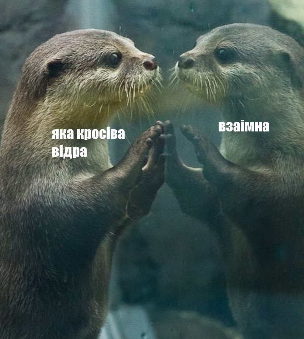 Обнимашки выдры