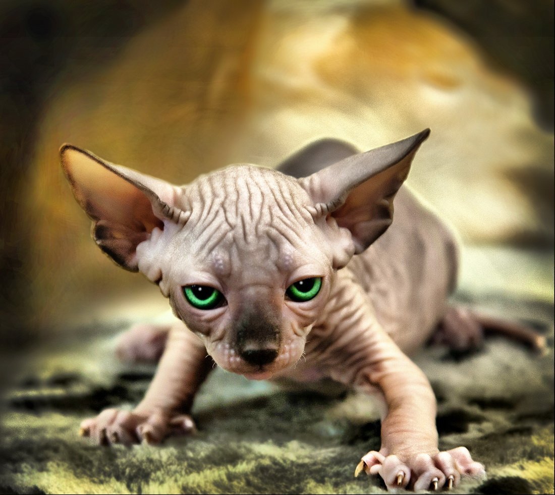 Сфинкс с зелеными глазами