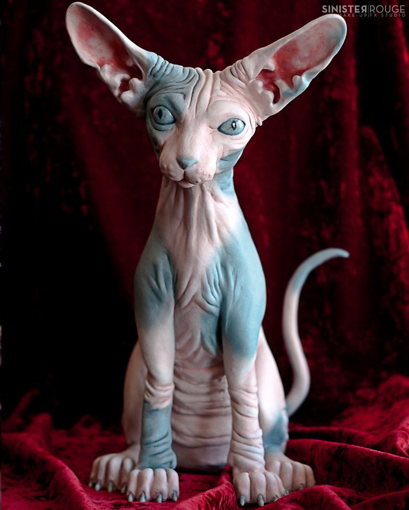 Джаспер безглазый сфинкс